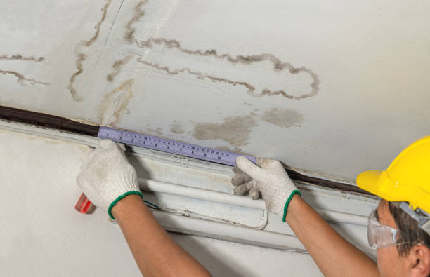 Reliable Mold Remediation contractor in Lebanon, ME by Water Damage Irwin